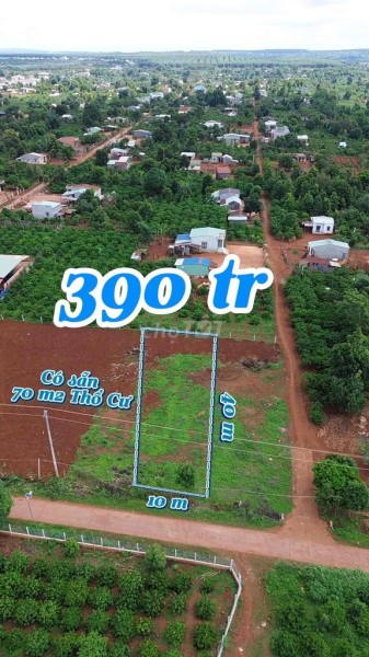 rẻ 10m x 40m có thổ cư, đường bê tông